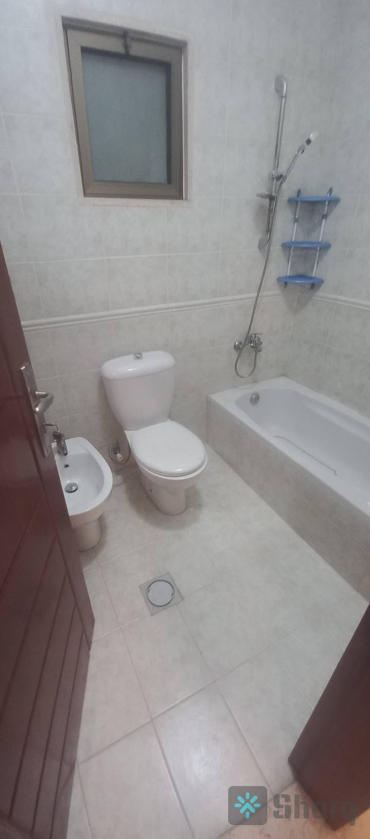 شقة فارغة للايجار  السابع