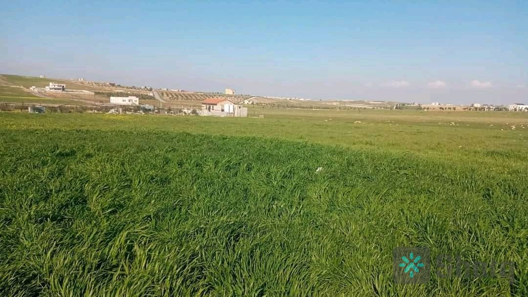 رض مميزة للبيع من المالك مباشرة مساحة 4 دنم ارحاب