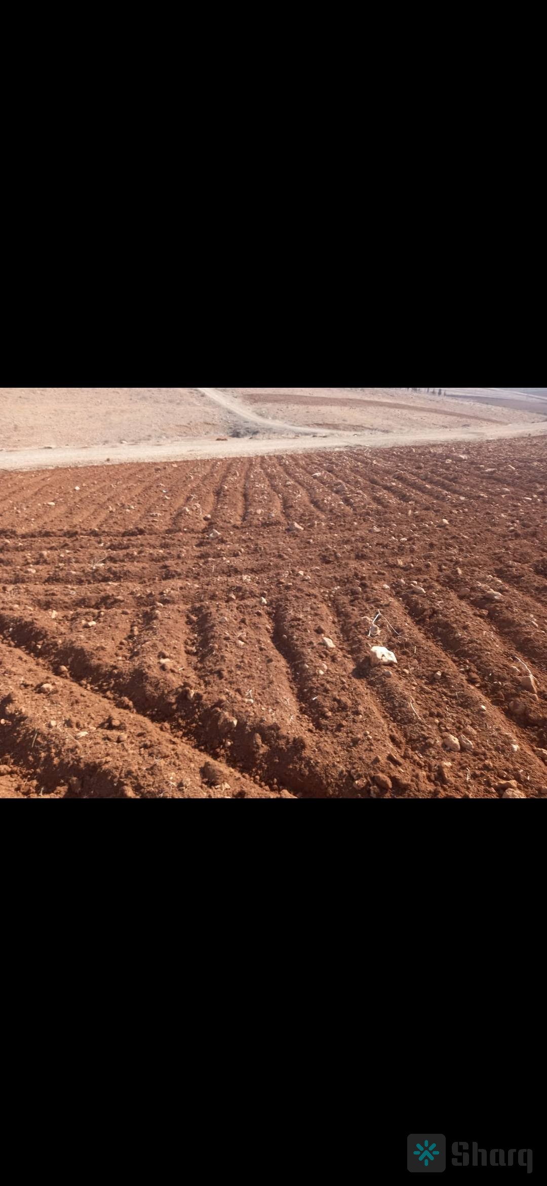 قطعة ارض للبيع