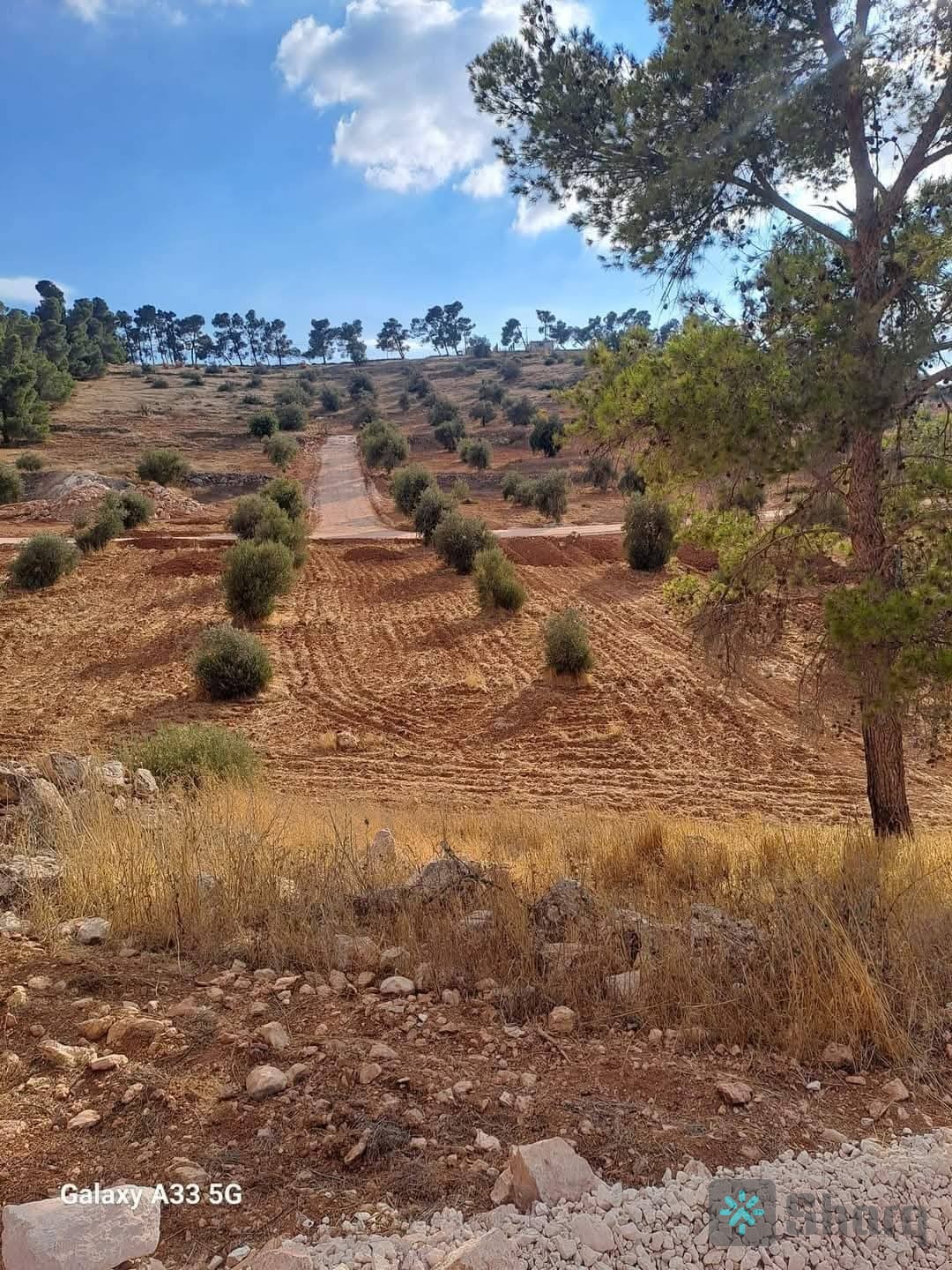 قطع ارض شرق جرش - منطقة حمامة