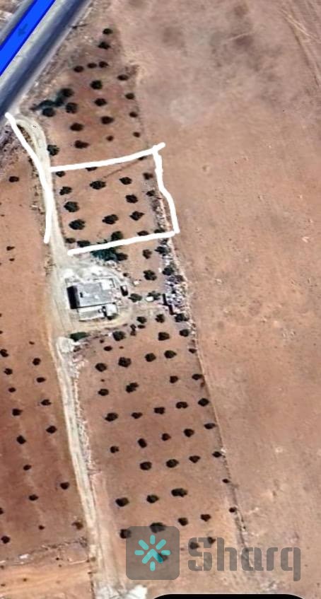 دلم ارض للبيع عشارع ريئيسي