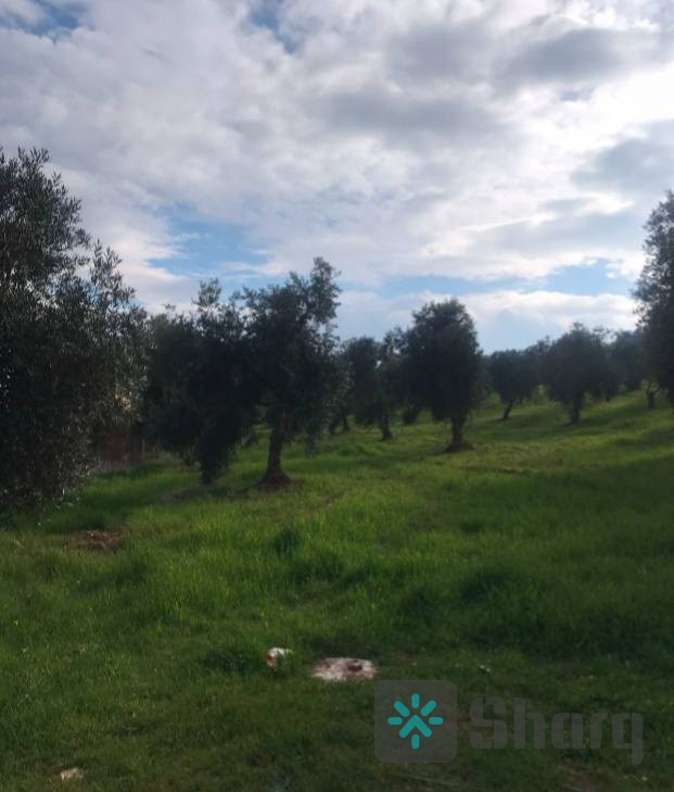 قطعه ارض مميزه جدا جد