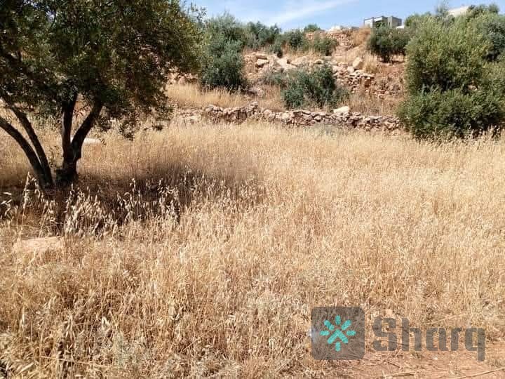 سكنيه. مساحة 500 م. #قوشان مستقل