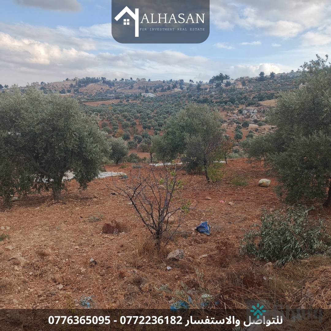 بدك قطعة ارض تعمر عليها بسعر مغري جداً وحررررررق