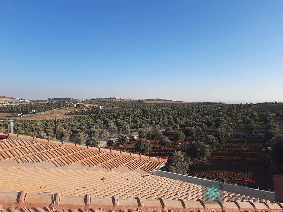 - في هذا الموقع تتوفر مزارع للبيع