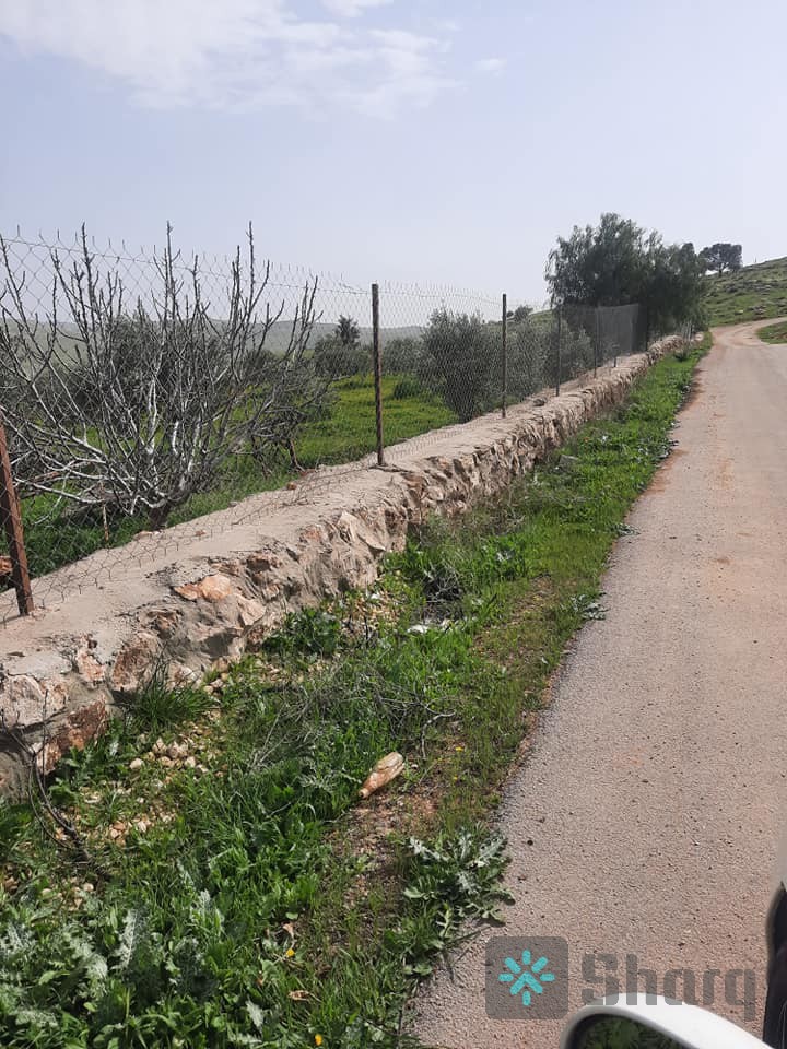 مزرعه زيتون وحوالي ٣ دونمات و٧٠٠ م فيها غرفه وساعه مي وكهربا بسعر ٥٠ الف منطقه القنيه طريق الزرقا جرش