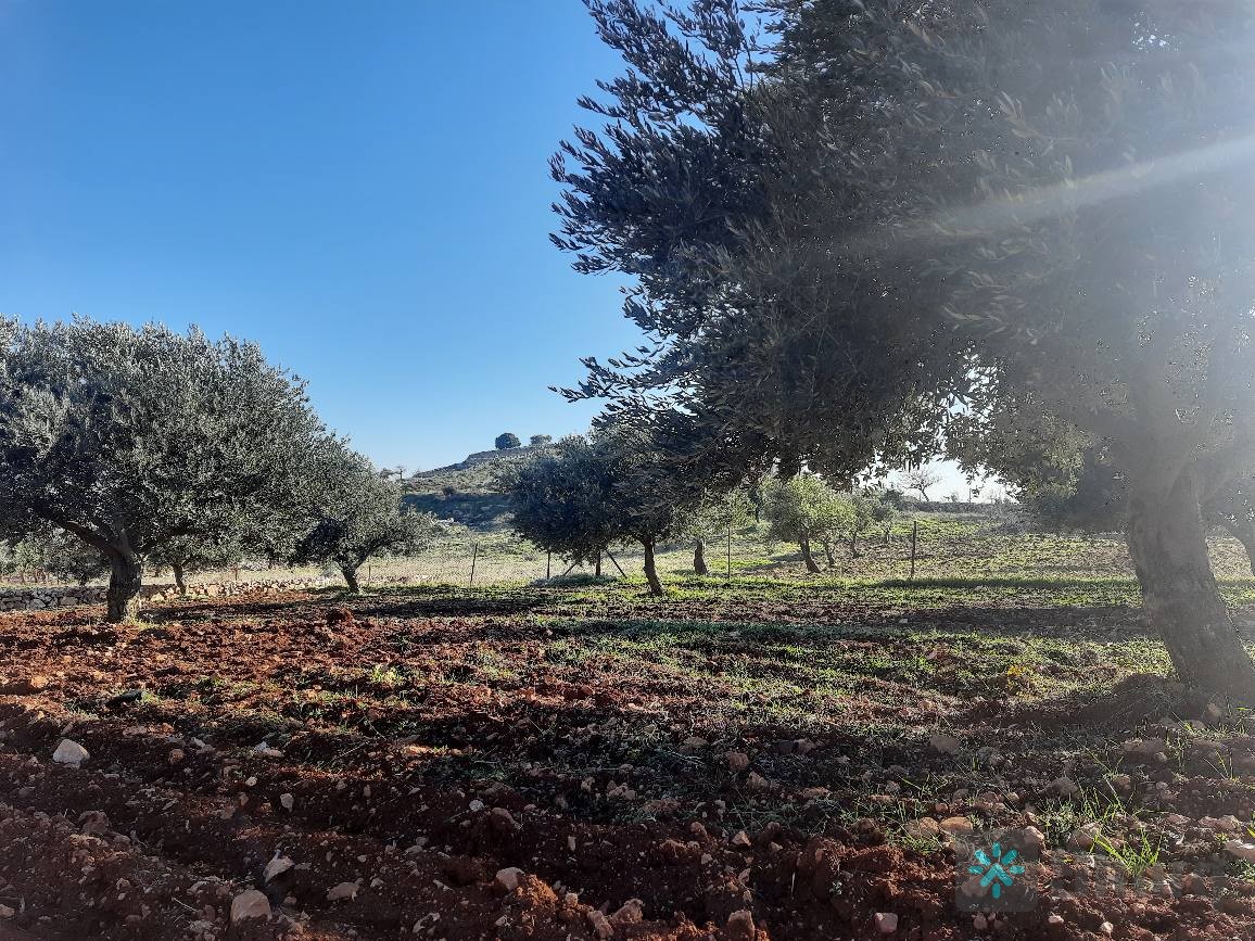 جرش بجانب فلل السنديان المساحه 4 دونمات و 500 متر