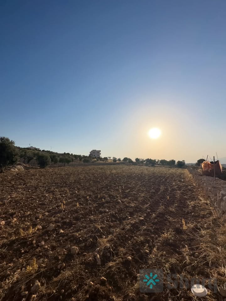 في جرش -الراية -