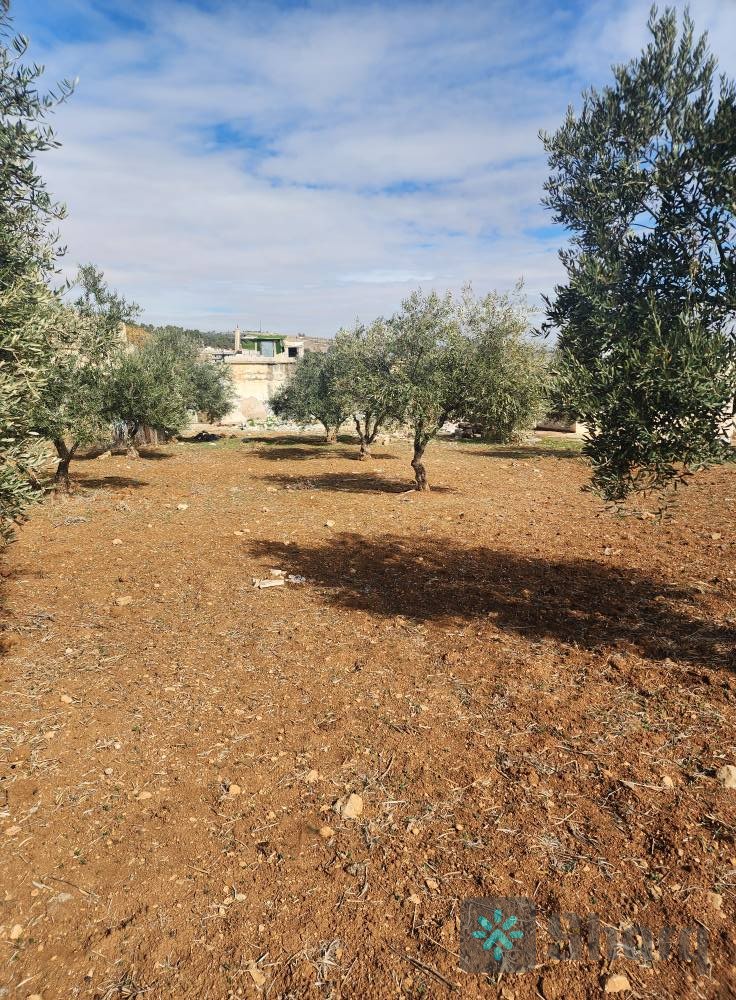 فرصة حقيقية لا تعوض