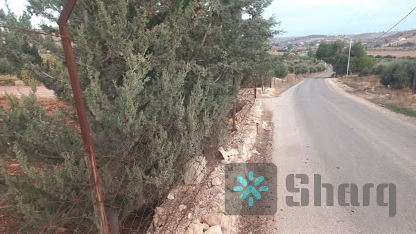 مزرعه ٥ دنم للبيع مع بيت نادره شرق جرش جميع الخدمات