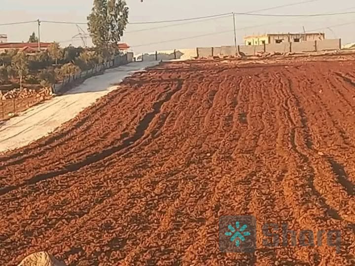 بسم الله الرحمن الرحيم