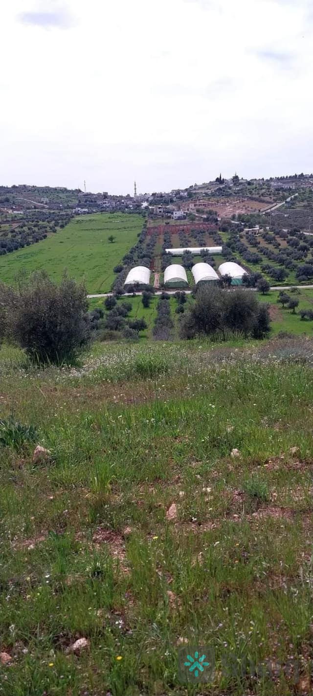 بسم الله الرحمن الرحيم