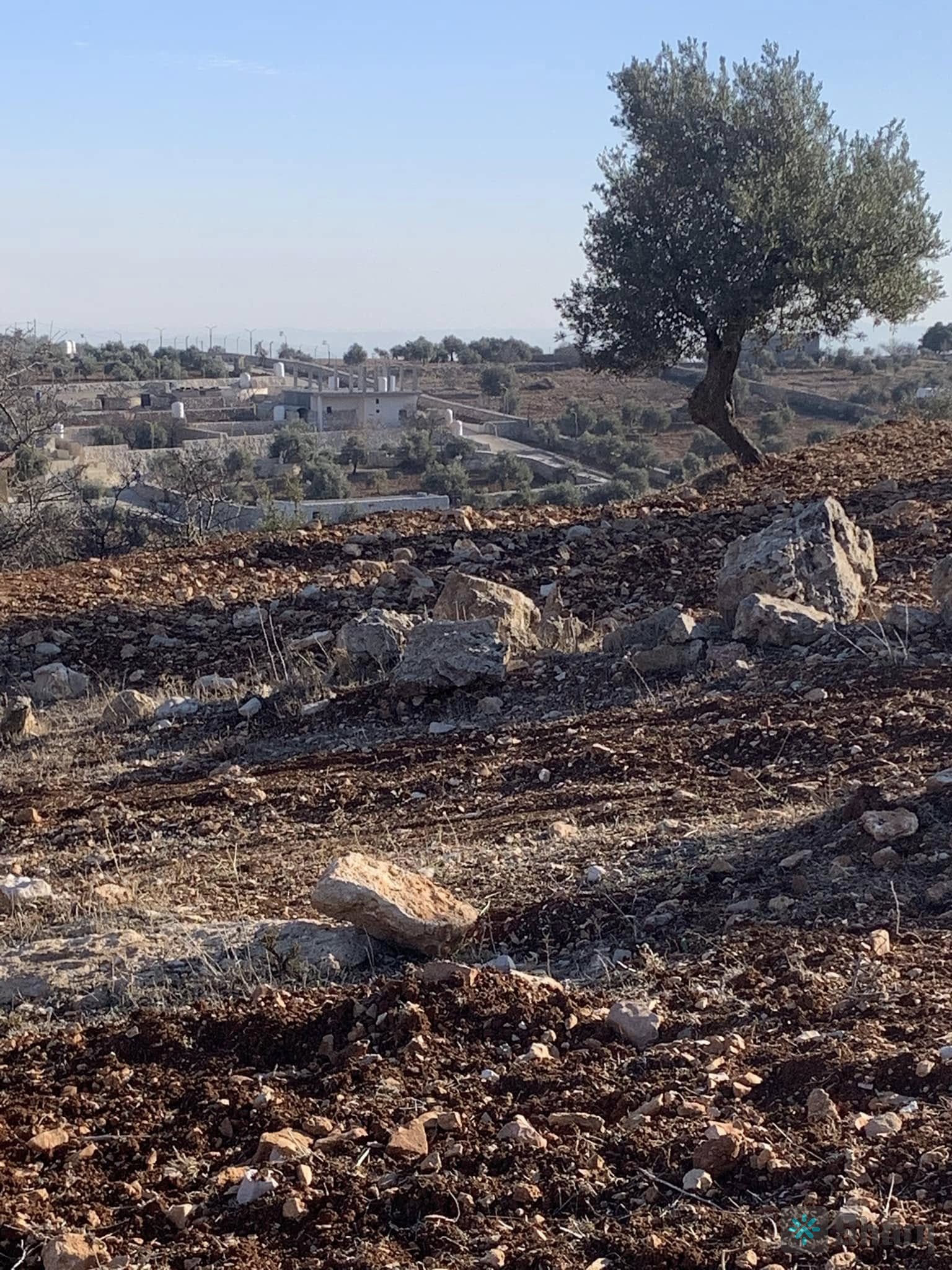 قطعه ارض من اراضي جرش منطقه ثغره عصفور