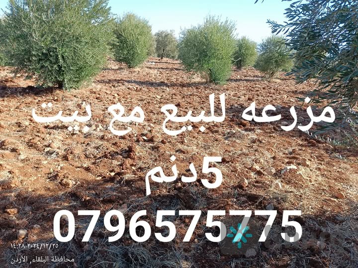 لاصحاب الذوق الرفيع