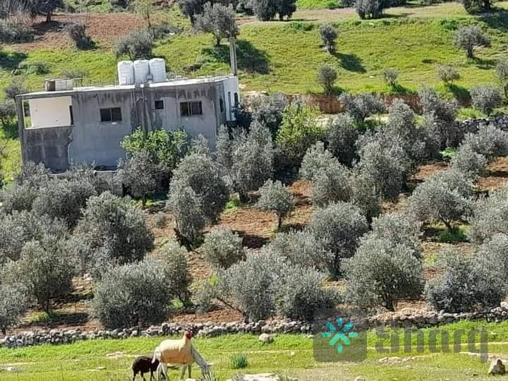 ٥ دونم و و٦٠٠متر مع بيت في قوشان مستقل متوفر جميع الخدمات على شارعين مزروعه ٢٠٠ شجره مثمره قريب من الاستراد تبعد عن جرش ٧كيلو في منطقة #دحل للتواصل